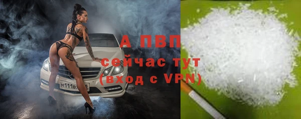 молекула духа Белокуриха