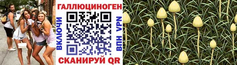 где купить   Дербент  Псилоцибиновые грибы мухоморы 